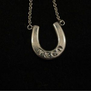 Rare Vintage Tiffany Horseshoe Necklace